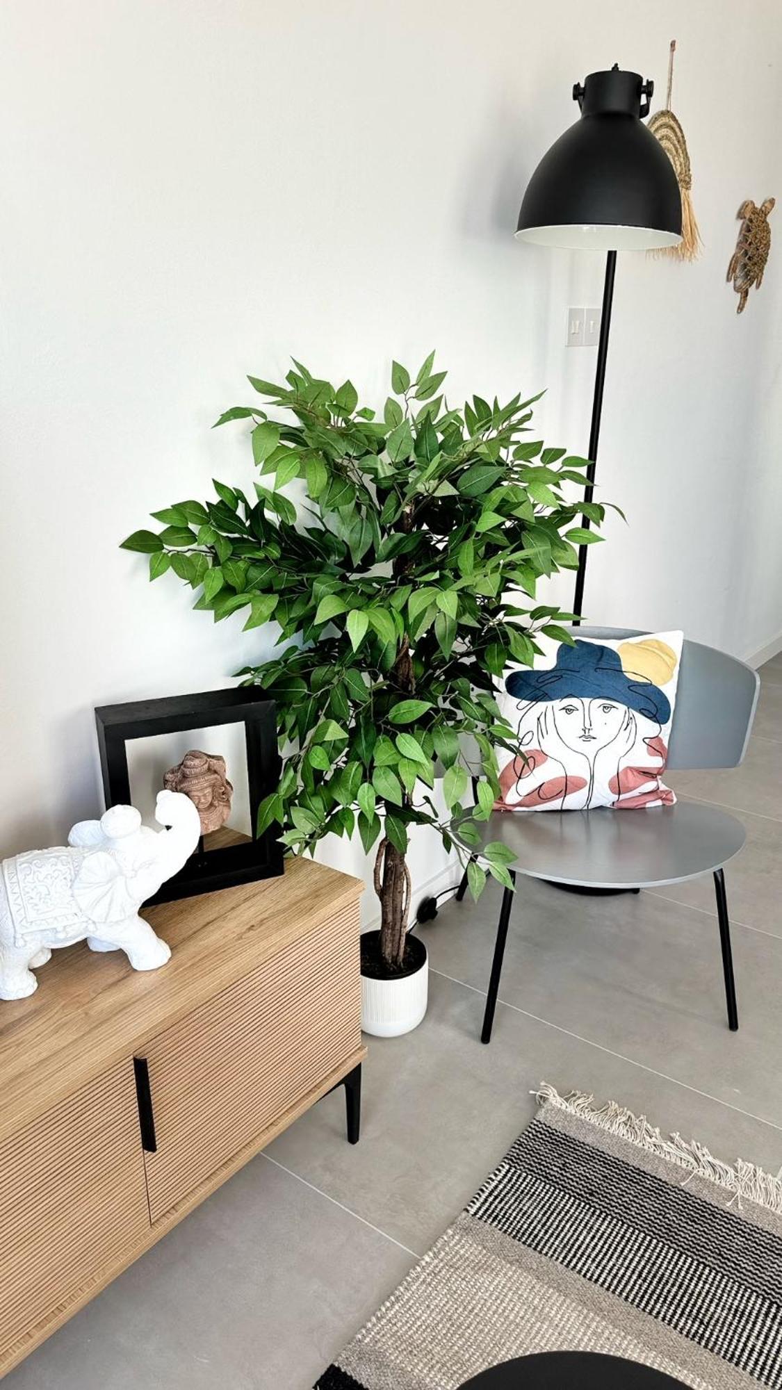 Peyia Paradise Apt Eksteriør bilde